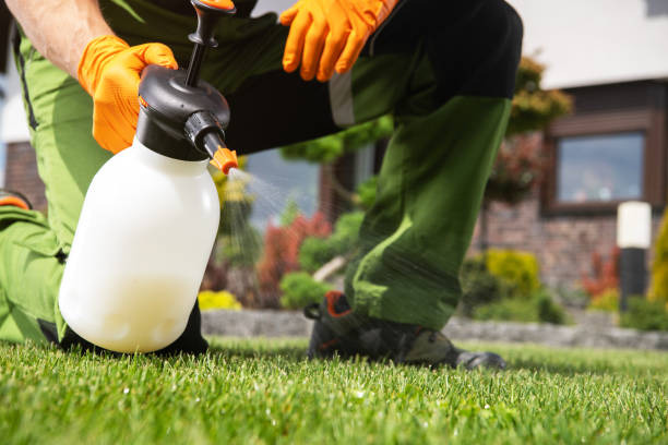 Best Affordable Pest Control Services  in Junction City, OR