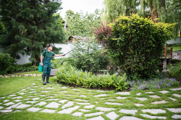 Best Best Pest Control Companies  in Junction City, OR