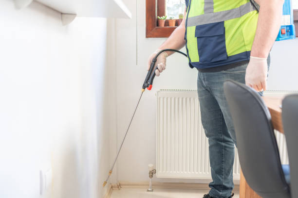 Trusted Junction City, OR Pest Control Experts