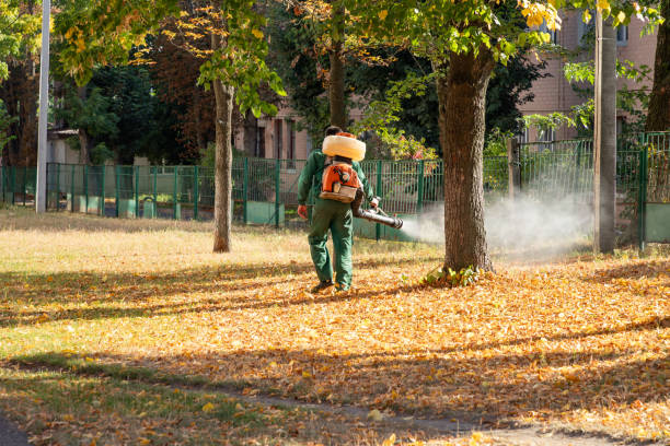 Best Cockroach Control Services  in Junction City, OR