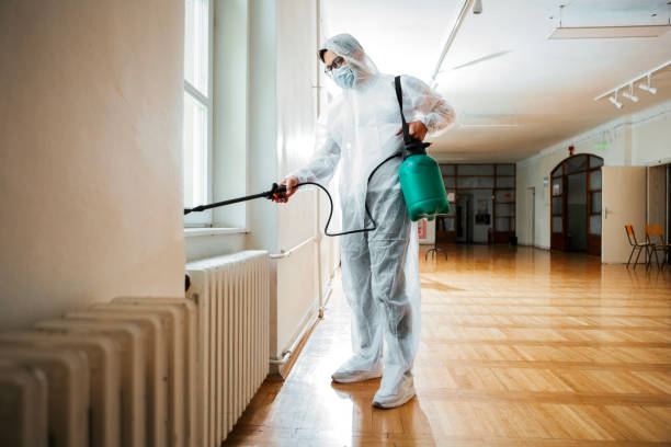 Best Insect Control  in Junction City, OR