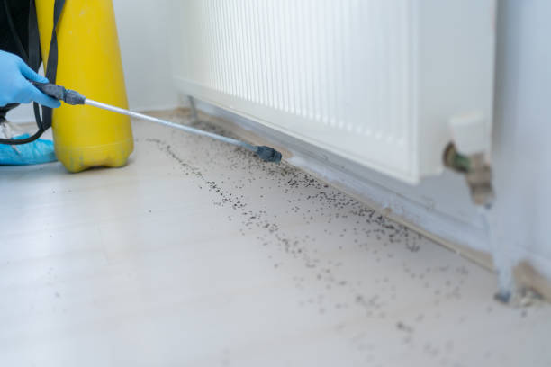 Best Residential Pest Control  in Junction City, OR