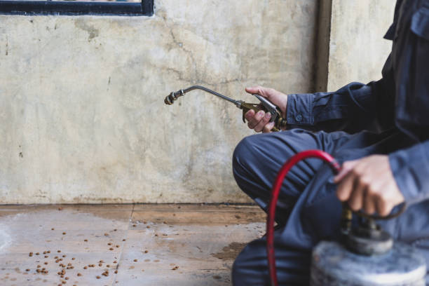 Pest Control Cost in Junction City, OR