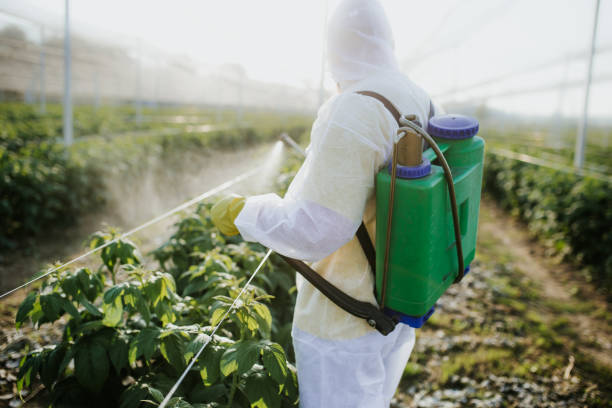 Professional Pest Control in Junction City, OR